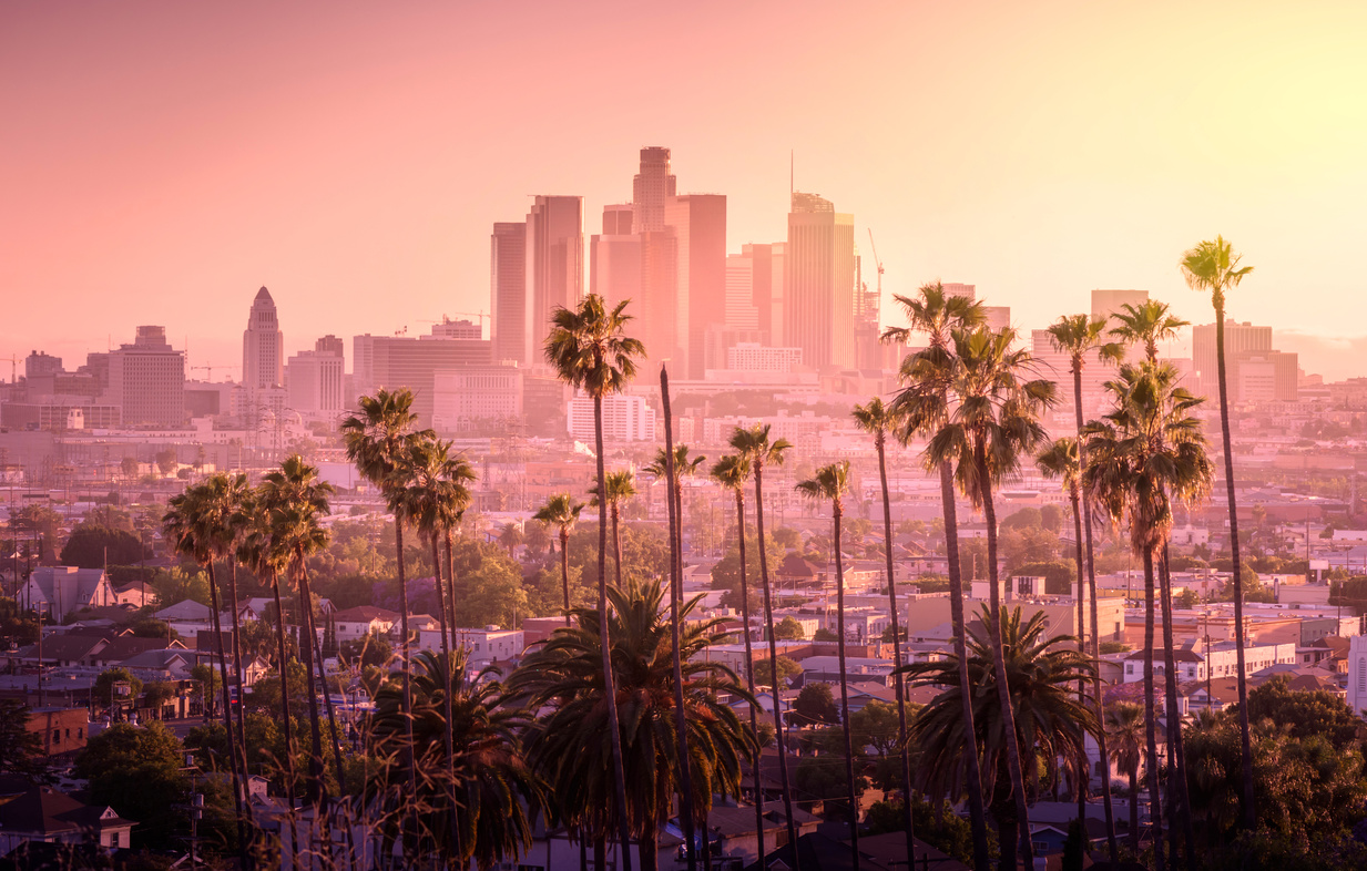 Beautiful Sunset of Los Angeles Downtown Skyline and Palm Trees